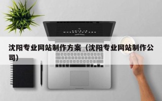齐齐哈尔沈阳专业网站制作方案（沈阳专业网站制作公司）